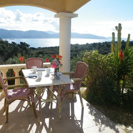 Villa Liamone Studio Fuer 3 Personen , 400 M Vom Strand, Pool, Klimaanlage Саґон Екстер'єр фото